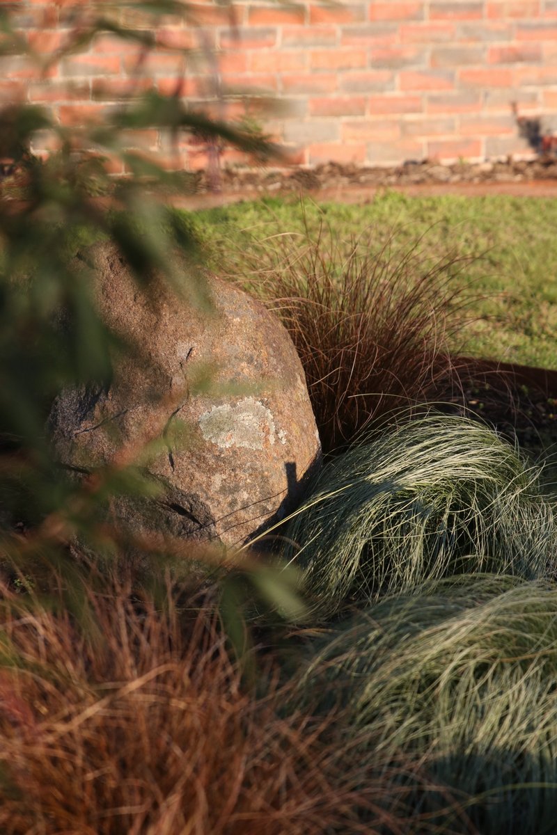 Boulder and native grass planting